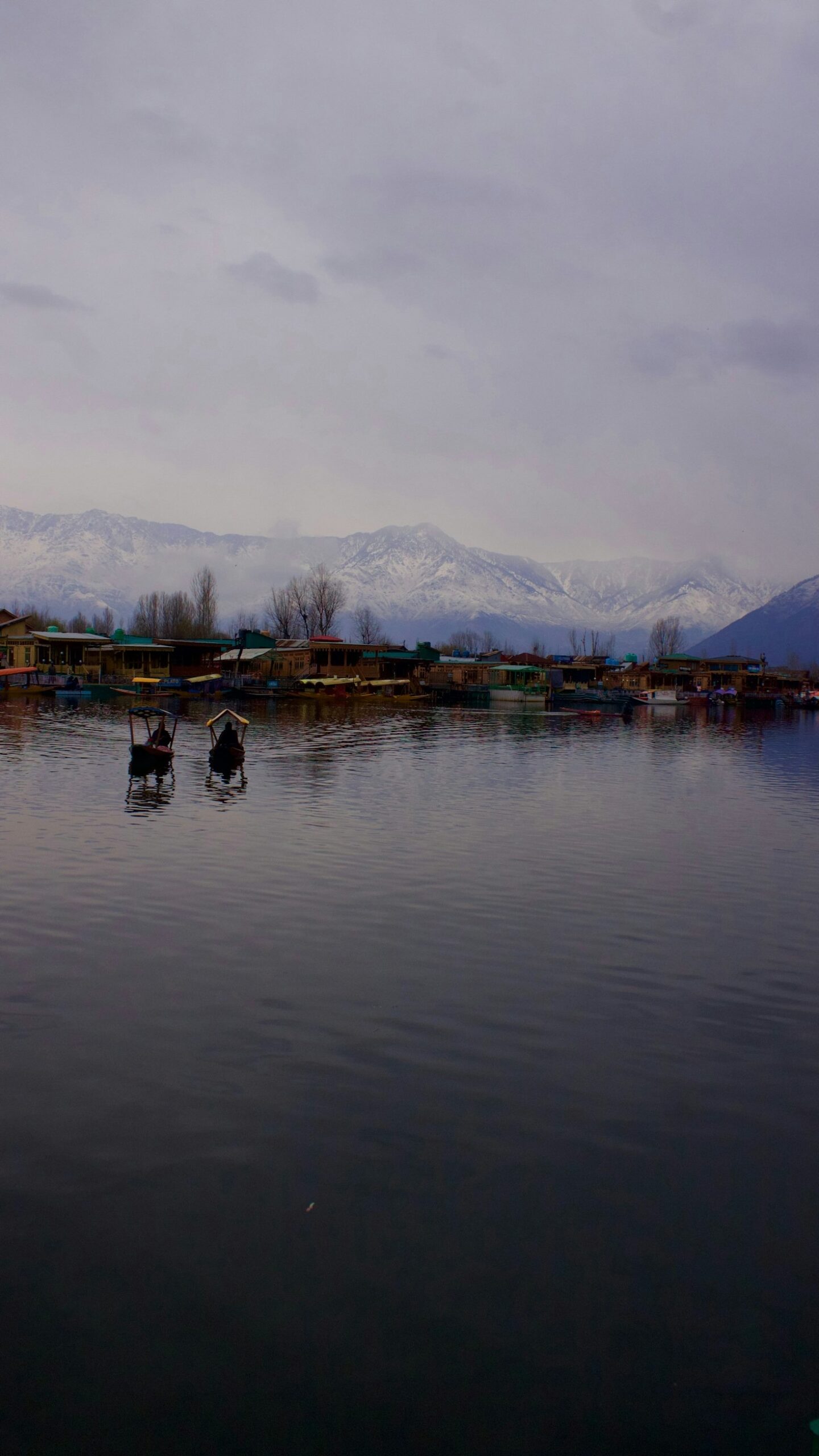 Bonorong Wildlife Park: Meet Tasmania’s Unique Fauna